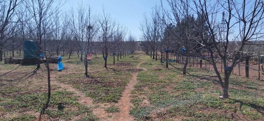 Commercial Property for Sale in Griekwastad Rural Northern Cape